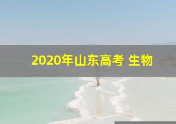 2020年山东高考 生物